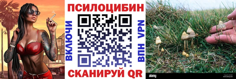 Галлюциногенные грибы мицелий  Купить закладки  Мурино 