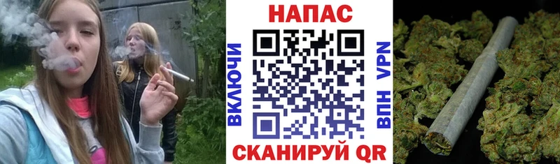 Купить где  Мурино  Марихуана гибрид 